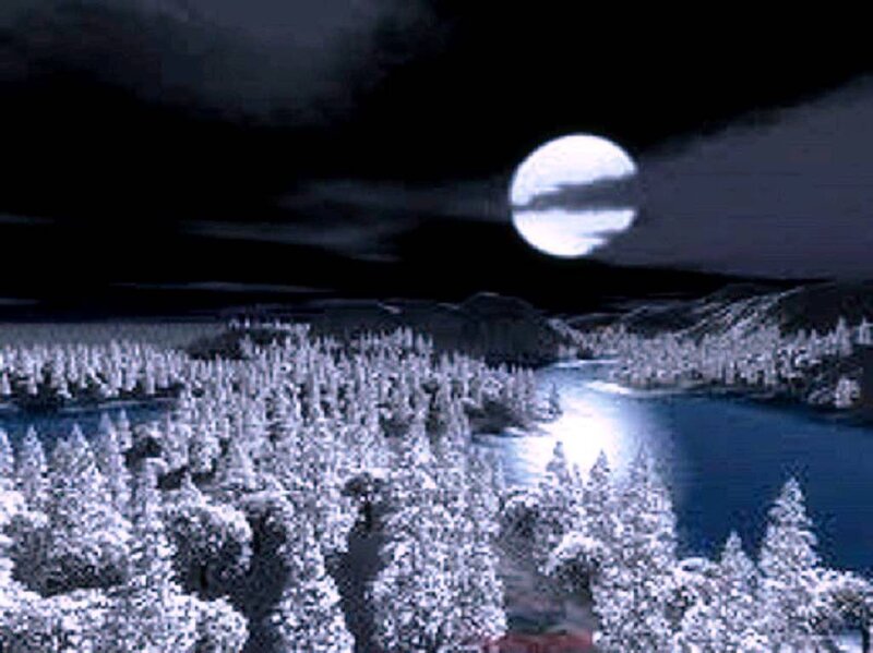 Snow-covered Forest at Night — Blue, Serene, Digital Art, Moon