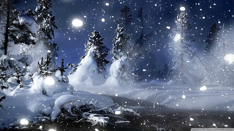 Snow-covered Forest at Night — Blue, Serene, Digital Art