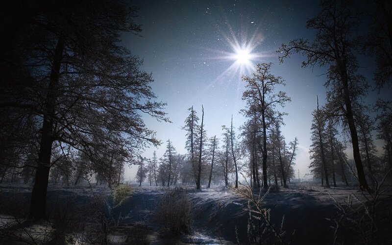 Snow-covered Forest at Night — Blue, Serene, Photograph, Trees, Stars, Moon