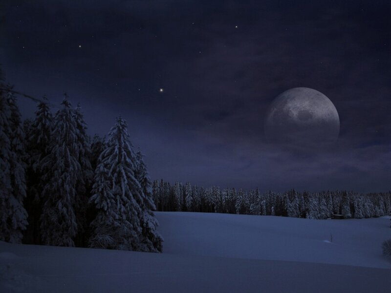 Snow-covered Forest at Night — Blue