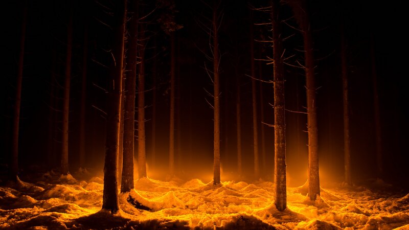 Snow-covered Forest at Night — Orange