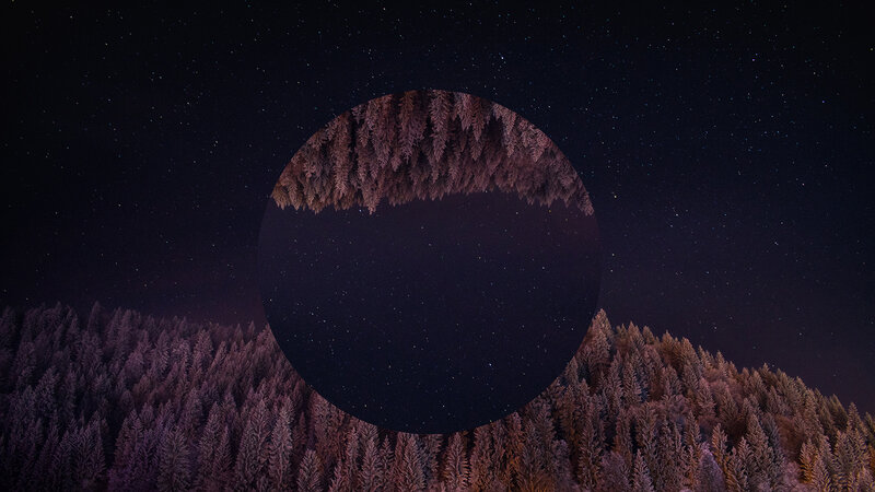 Snow-covered Forest at Night — Purple