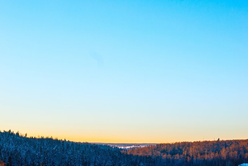 Snow-covered Forest at Sunset — Blue