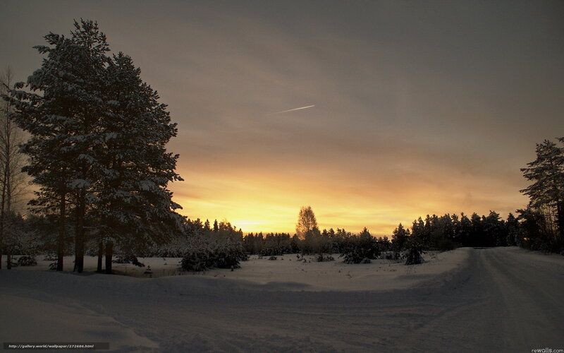 Snow-covered Forest at Sunset — Orange, Serene