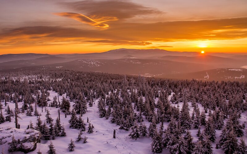 Snow-covered Forest at Sunset — Orange