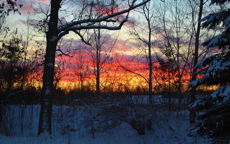 Snow-covered Forest at Sunset — Red