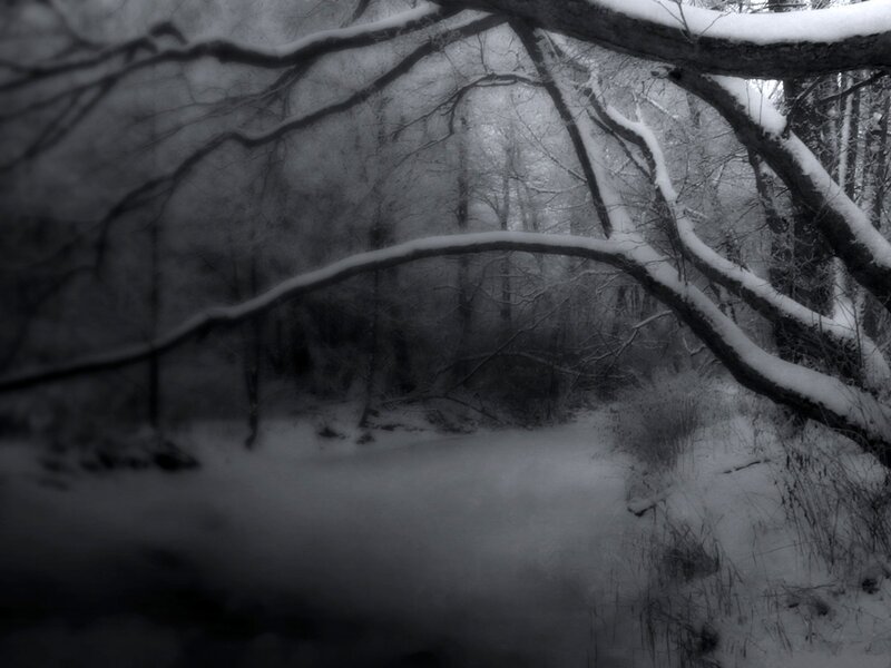Snow-covered Forest — Black, Dreary