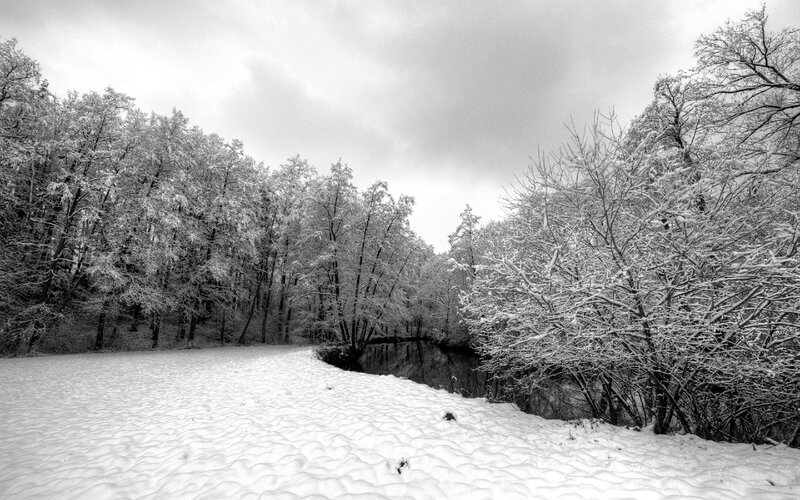 Snow-covered Forest — Black, Serene, Winter, Photograph, Trees, River