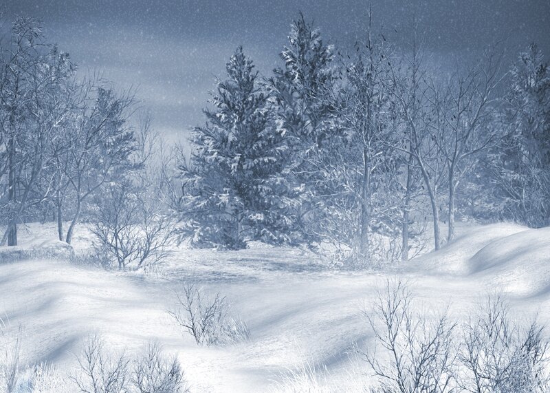 Snow-covered Forest — Blue, Cold, Winter, Digital Art