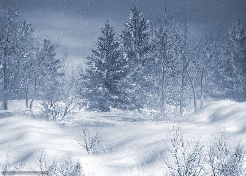 Snow-covered Forest — Blue, Cold, Winter, Digital Art, Trees