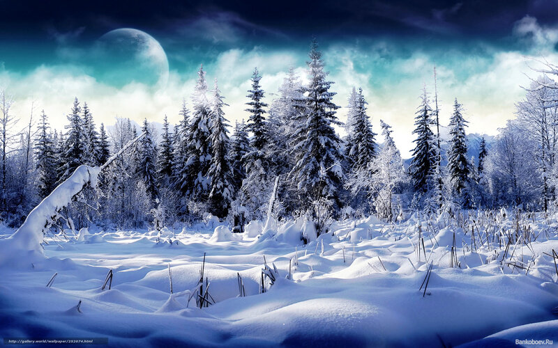 Snow-covered Forest — Blue, Dramatic, Night, Digital Art, Trees, Moon, Clouds