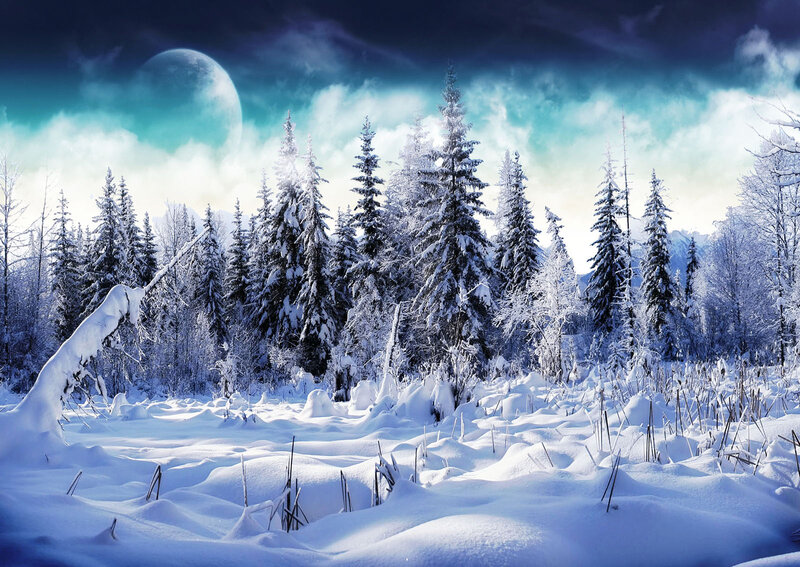 Snow-covered Forest — Blue, Dramatic, Night, Digital Art, Trees, Moon