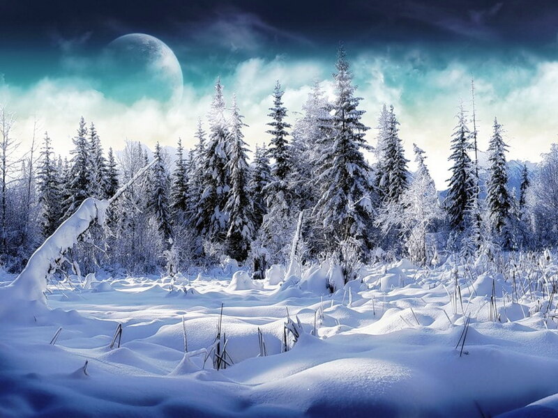 Snow-covered Forest — Blue, Dramatic, Night