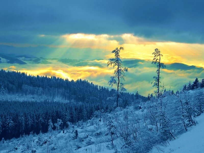 Snow-covered Forest — Blue, Dramatic, Winter, Photograph, Trees, Clouds, Mountains