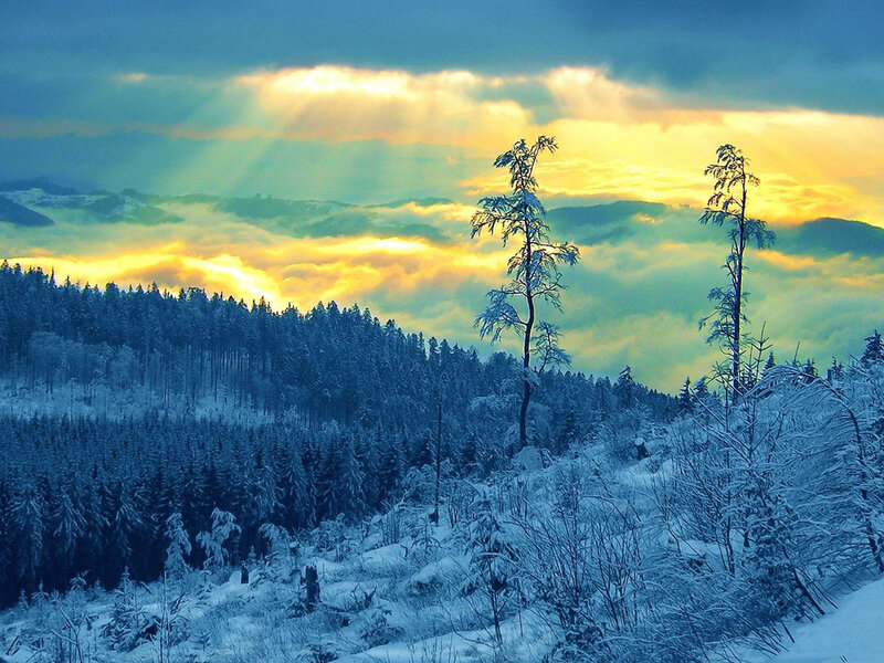 Snow-covered Forest — Blue, Dramatic, Winter, Photograph, Trees, Clouds