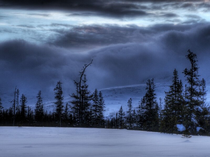 Snow-covered Forest — Blue, Dramatic, Winter, Photograph, Trees, Mountains