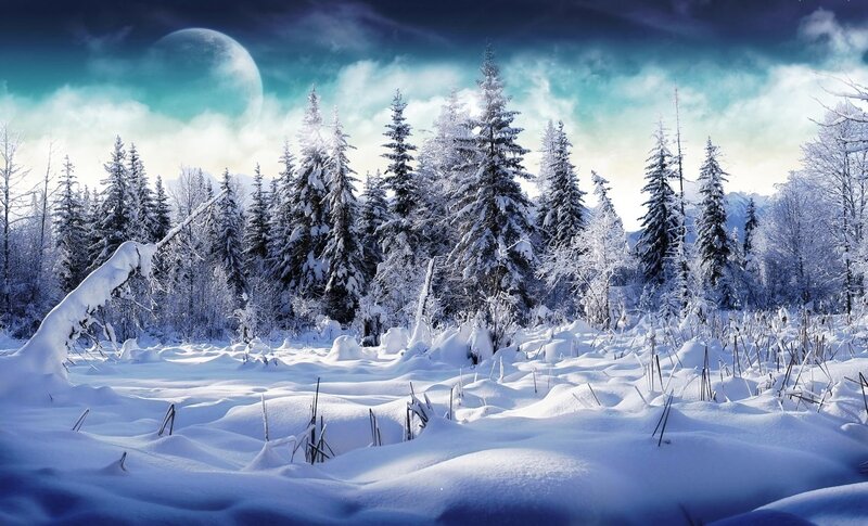 Snow-covered Forest — Blue, Serene, Night, Digital Art