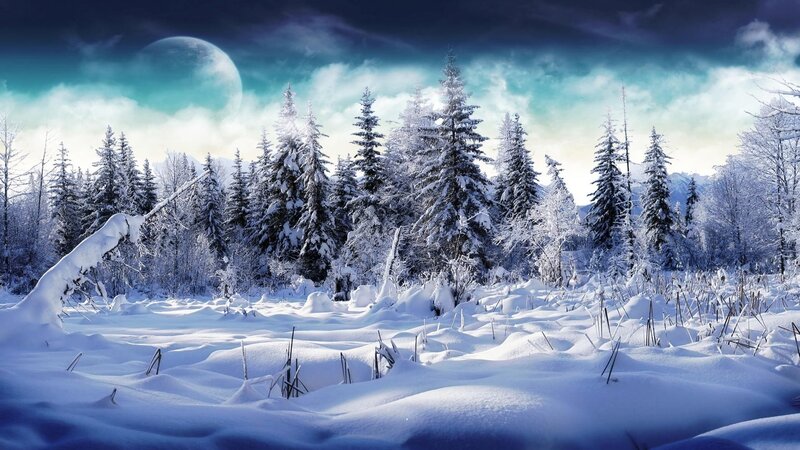 Snow-covered Forest — Blue, Serene, Night, Digital Art, Trees, Moon, Clouds