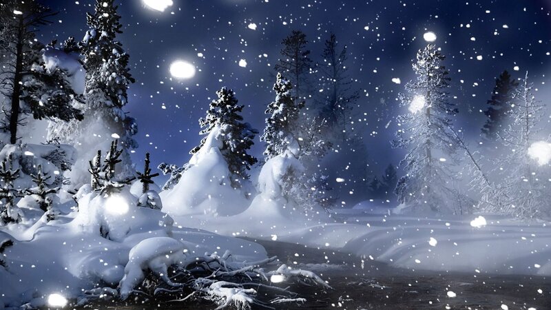 Snow-covered Forest — Blue, Serene, Night, Digital Art, Trees