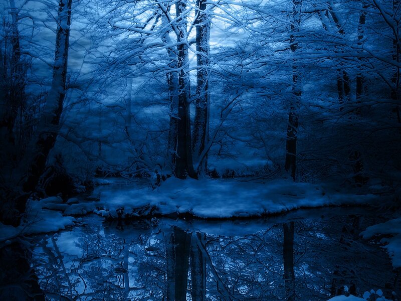 Snow-covered Forest — Blue, Serene, Night, Photograph, Trees, River, Snow