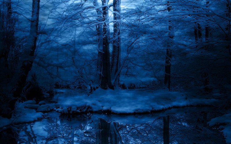 Snow-covered Forest — Blue, Serene, Night, Photograph, Trees, River