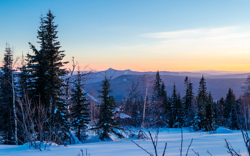 Snow-covered Forest — Blue, Serene, Sunset, Photograph, Trees