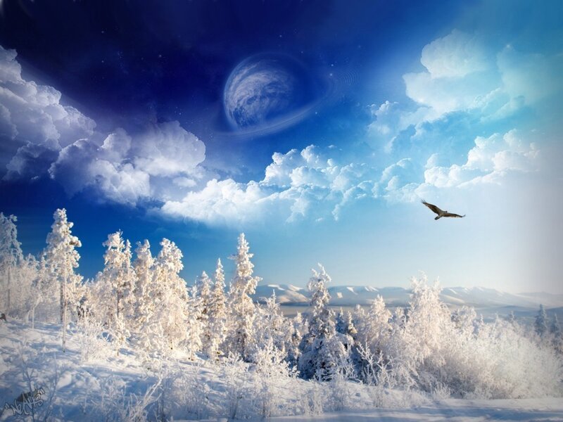 Snow-covered Forest — Blue, Serene, Winter, Digital Art, Bird, Clouds