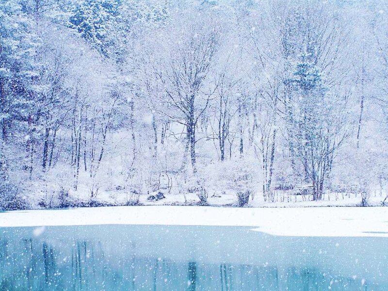Snow-covered Forest — Blue, Serene, Winter, Photograph, Trees, Lake
