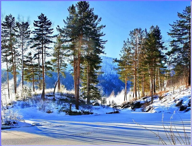 Snow-covered Forest — Blue, Serene, Winter, Photograph, Trees, Mountain