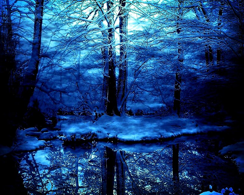 Snow-covered Forest — Blue, Serene, Winter, Photograph, Trees, River, Snow