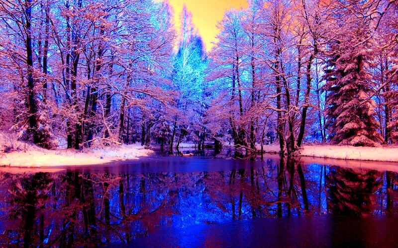 Snow-covered Forest — Blue, Serene, Winter, Photograph, Trees, River