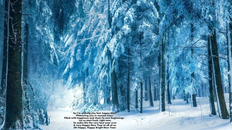 Snow-covered Forest — Blue, Serene, Winter, Photograph, Trees, Snow, Text