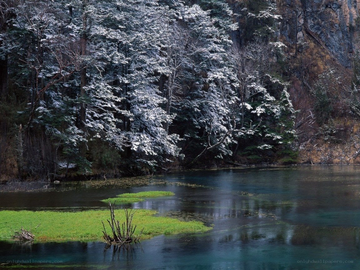 Snow-covered forest by a clear lake
