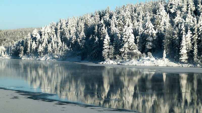 snow-covered forest by frozen lake