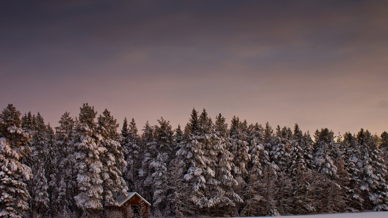 Snow-covered Forest Cabin