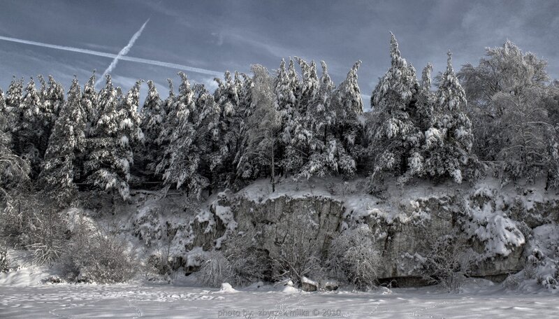 Snow-covered forest cliff