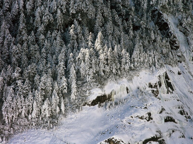 Snow-covered forest cliff