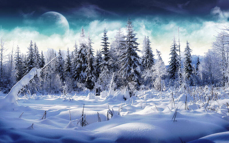 Snow-covered Forest — Clouds