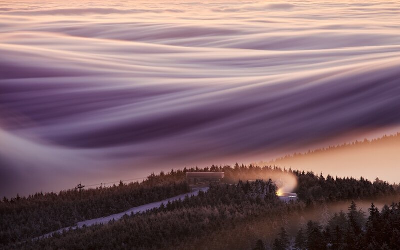 Snow-covered Forest Hill — Purple