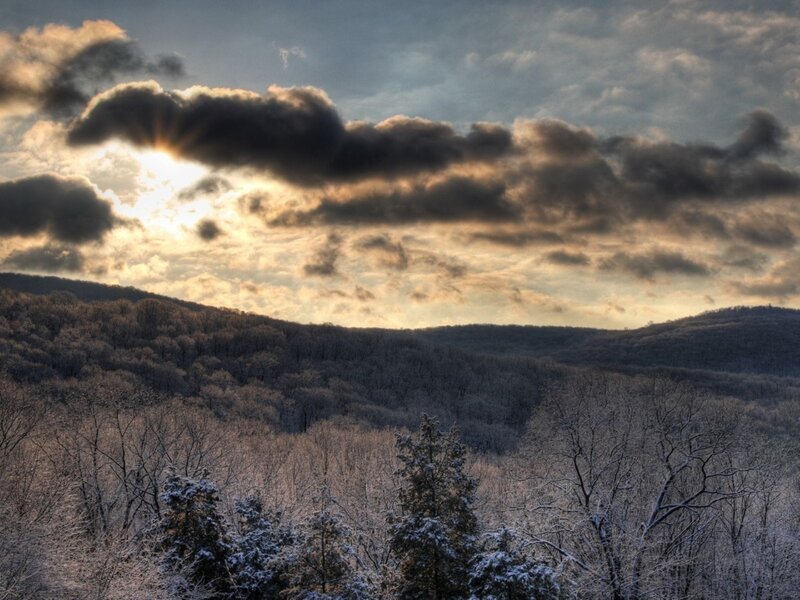 Snow-covered Forest Hills — Gray, Dramatic, Winter, Photograph, Trees