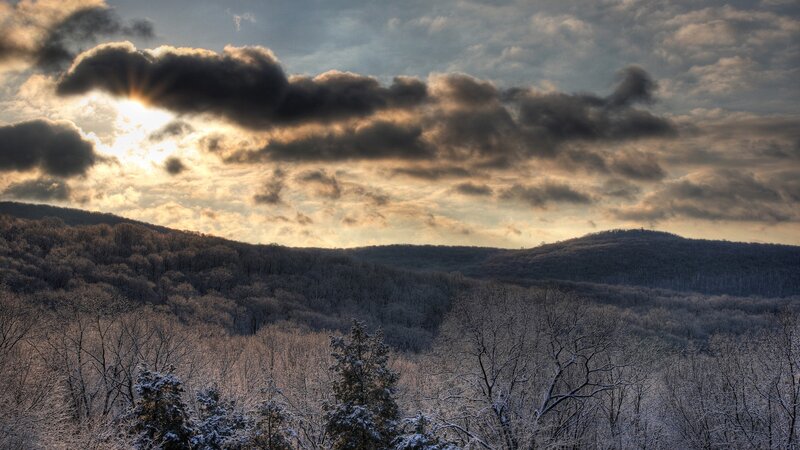 Snow-covered Forest Hills — Gray