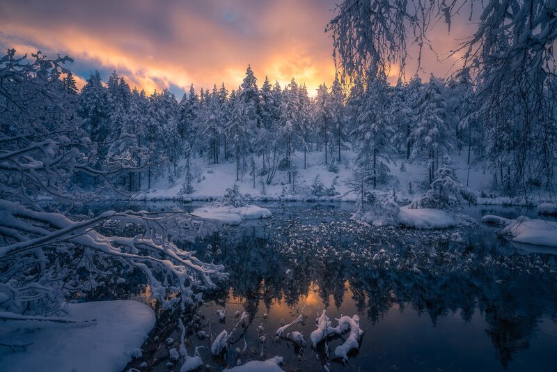 Snow-covered Forest Lake — Blue, Serene, Sunset