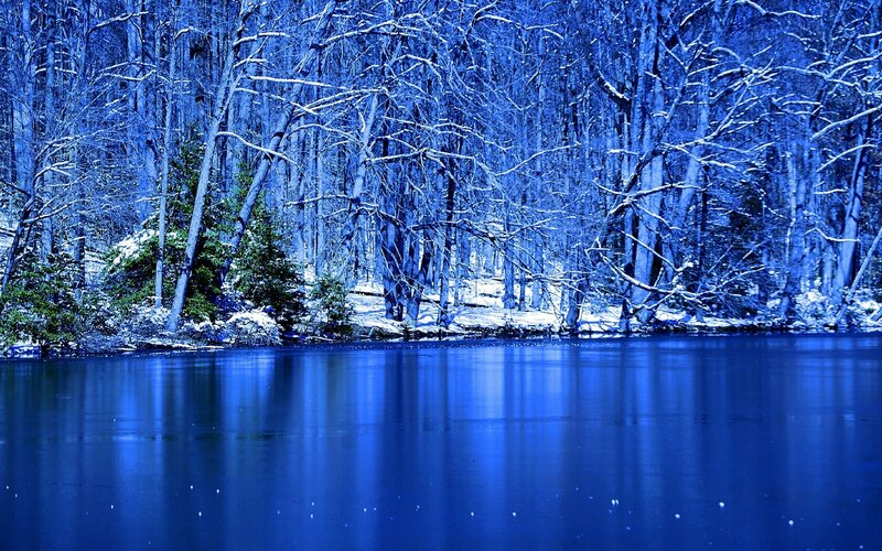 Snow-covered Forest Lake — Blue, Serene