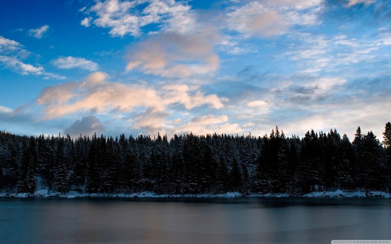 Snow-covered Forest Lake — Blue, Serene, Winter, Photograph
