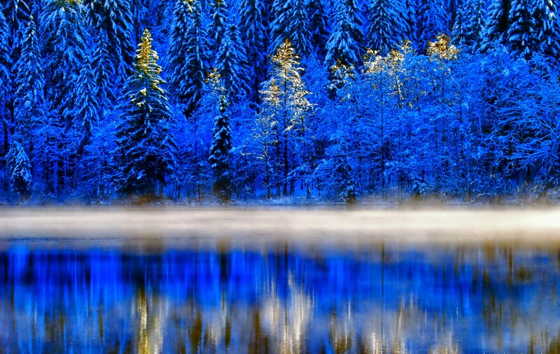 Snow-covered Forest Lake — Blue, Serene, Winter, Photograph, Trees, Fog