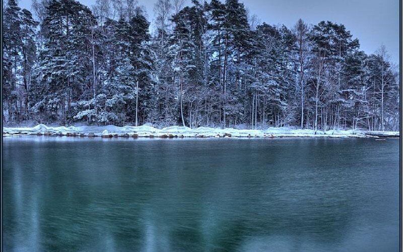 Snow-covered Forest Lake — Blue, Serene, Winter, Photograph, Trees, Snow, Green