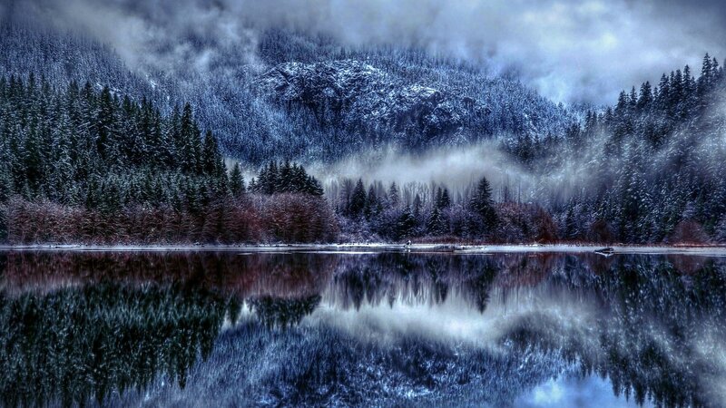 Snow-covered Forest Lake — Blue, Serene, Winter, Photograph, Trees