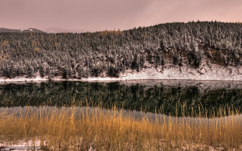 Snow-covered Forest Lake — Brown