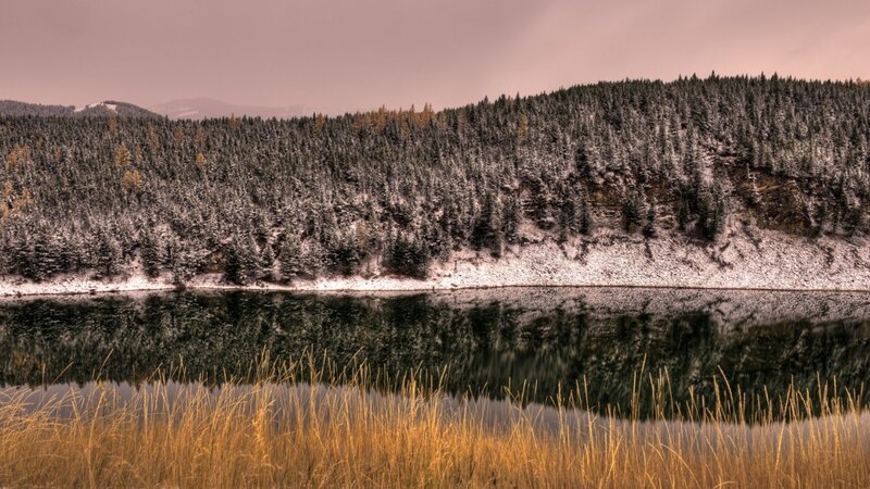 Snow-covered Forest Lake — Green, Serene