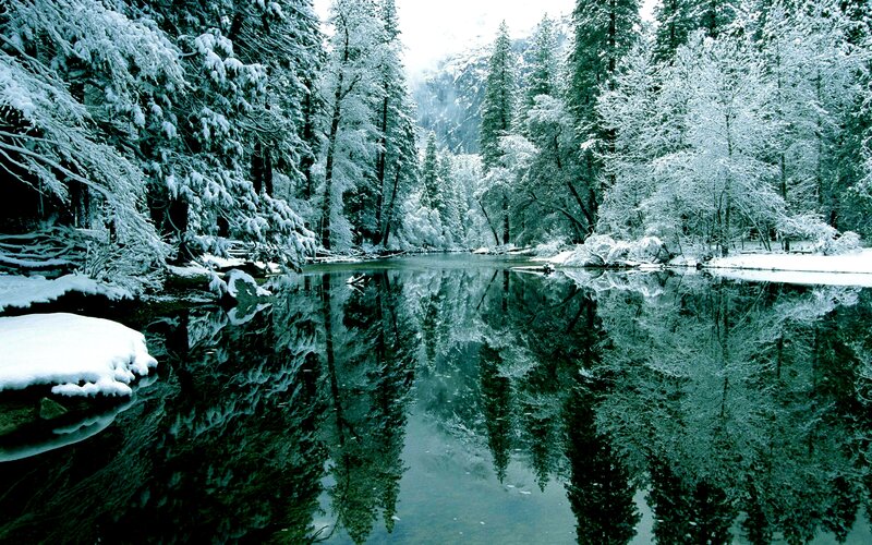 Snow-covered Forest Lake — Green, Serene, Winter